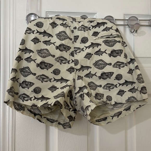 Swim Trunks - Picture 2 of 3